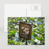 Gevaar, alligator. briefkaart (Voorkant / Achterkant)