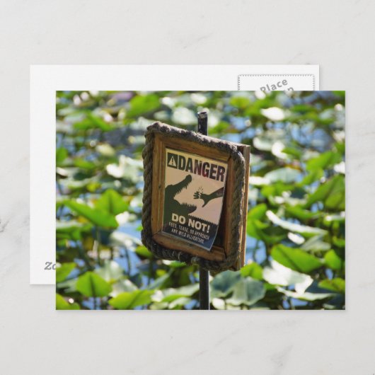 Gevaar, alligator. briefkaart (Voorkant / Achterkant)