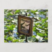 Gevaar, alligator. briefkaart (Voorkant)