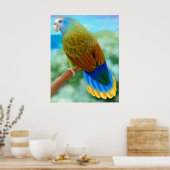 Gevaar voor het Poster St Vincent Parrot (Keuken)