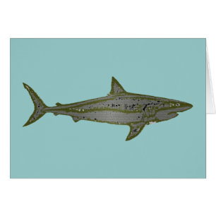 Gevaar - Wilde haaien