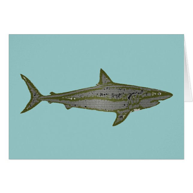 Gevaar - Wilde haaien (Voorkant Horizontaal)