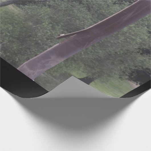 Gevaarlijk gebarsten papier (Hoek)