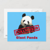 GEVAARLIJK Giant Panda Briefkaart (Voorkant / Achterkant)