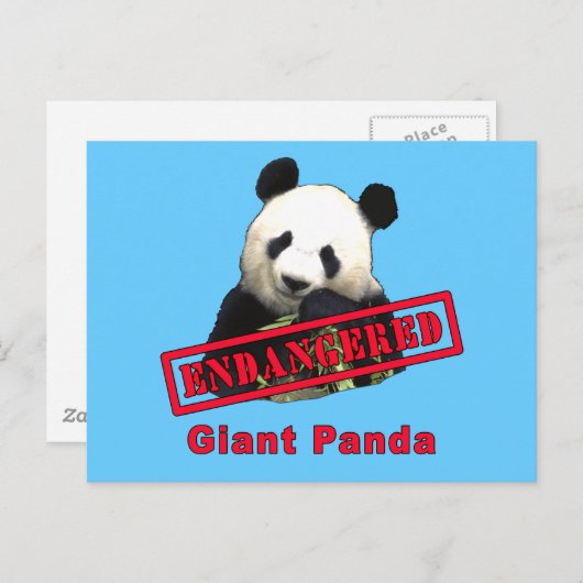 GEVAARLIJK Giant Panda Briefkaart (Voorkant / Achterkant)