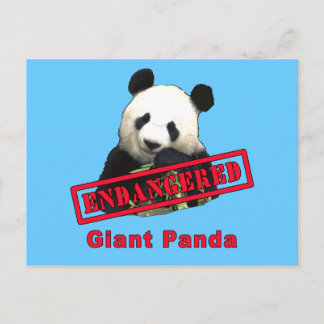 GEVAARLIJK Giant Panda Briefkaart