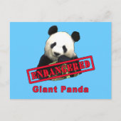GEVAARLIJK Giant Panda Briefkaart (Voorkant)