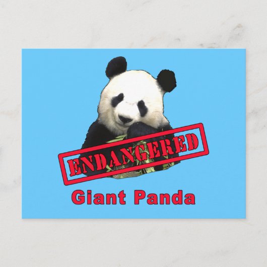 GEVAARLIJK Giant Panda Briefkaart (Voorkant)