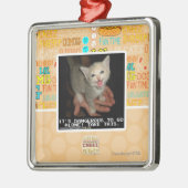 Gevaarlijk Metalen Ornament (Links)