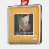 Gevaarlijk Metalen Ornament (Links)