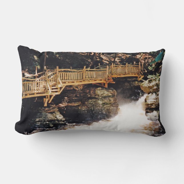 Gevaarlijk pad kussen (Voorkant)