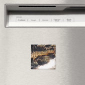 Gevaarlijk pad magneet (Insitu (Vaatwasser))