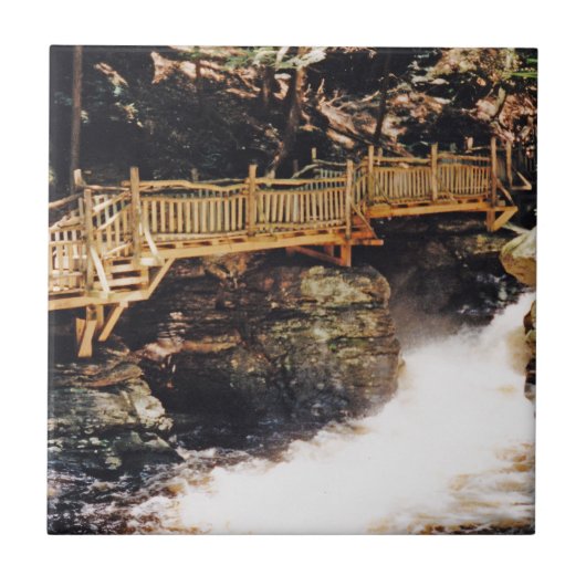 Gevaarlijk pad tegeltje (Voorkant)