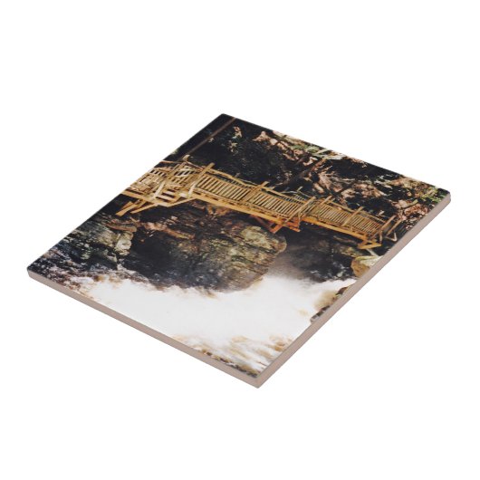 Gevaarlijk pad tegeltje (Zijkant)