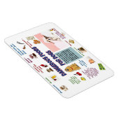 Gevaarlijk Voedsel voor Honden Koelkast Magnet Magneet (Rechterzijde)