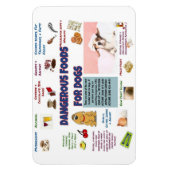 Gevaarlijk Voedsel voor Honden Koelkast Magnet Magneet (Verticaal)