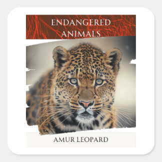 Gevaarlijke dieren - Amur Leopard Vierkante Sticker