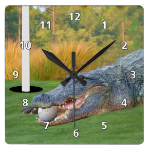 Gevaarlijke Lie, Gator, Golfer's klok