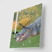 Gevaarlijke Lie, Gator, Golfer's klok (Hoek)