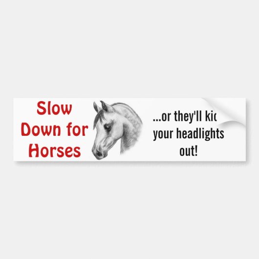 Gevaarlijke paarden bumpersticker (Voorkant)
