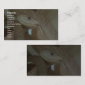 Gevaarlijke slang op de boom visitekaartje (Voorkant / Achterkant)