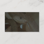 Gevaarlijke slang op de boom visitekaartje (Achterkant)