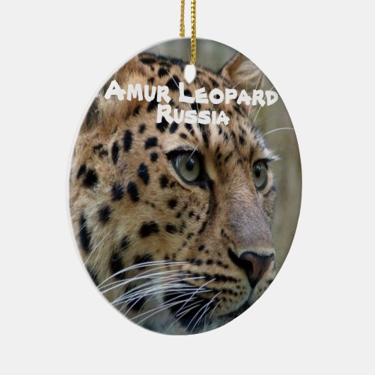 Gevaarlijke soorten Amur Leopard Keramisch Ornament (Rechts)