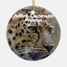 Gevaarlijke soorten Amur Leopard