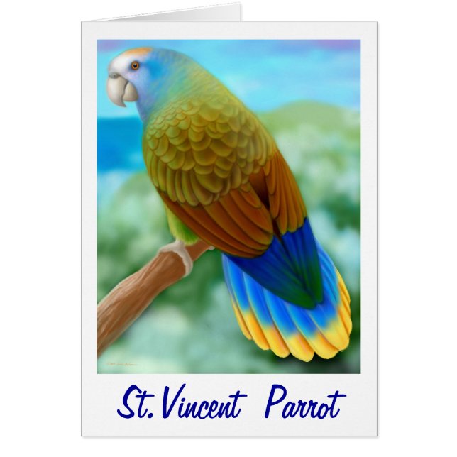 Gevaarlijke St Vincent Parrot-kaart (Voorkant)