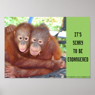 Gevaarlijke wilde Baby Poster