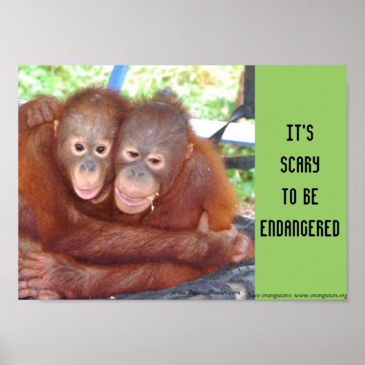 Gevaarlijke wilde Baby Poster (Voorkant)