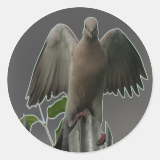 Gevallen Angel Dove Sticker (Voorkant)