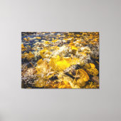 Gevallen bladeren in het water canvas afdruk (Voorkant)