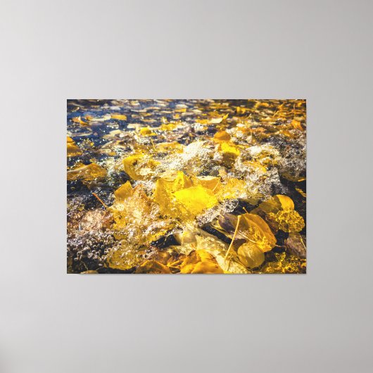 Gevallen bladeren in het water canvas afdruk (Voorkant)