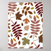 Gevallen Bladeren Lg Patroon Vallen Kleuren op Wit Poster (Voorkant)