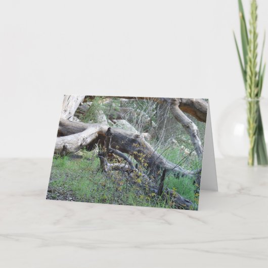 Gevallen Boom Kaart (Voorkant)