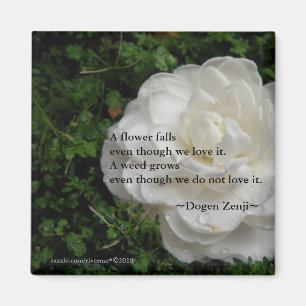 Gevallen Camellia / Zen Quote Magneet