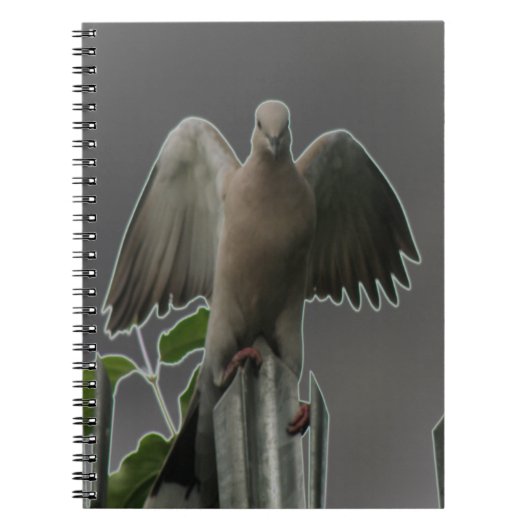 Gevallen engel Duif Notitieboek (Voorkant)