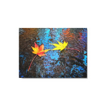 Gevallen esdoornbladeren