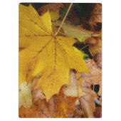 Gevallen esdoornbladeren geel herfst natuur klembord (Achterkant)