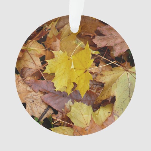 Gevallen esdoornbladeren geel herfst natuur ornament (voorkant)