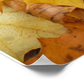 Gevallen esdoornbladeren geel herfst natuur poster (Hoek)