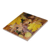 Gevallen esdoornbladeren geel herfst natuur tegeltje (Zijkant)