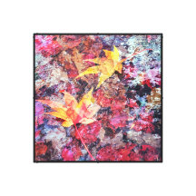 Gevallen rode esdoornbladeren op het water