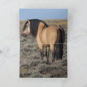 "Gevallen ster voor het Wind River-gebergte" (Binnen)