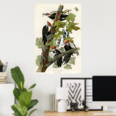 Gevallen van Amerikaanse pileated Woodpecker Poster (Thuiskantoor)