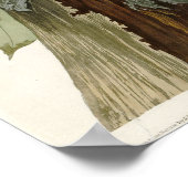 Gevallen van Amerikaanse pileated Woodpecker Poster (Hoek)