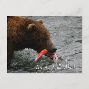 Gevangen, Brooks Falls Alaska Briefkaart