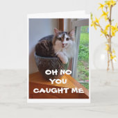 *** GEVANGEN IN DE ACT *** GELUKKIGE VERJAARDAG VO KAART (Gele Bloem)