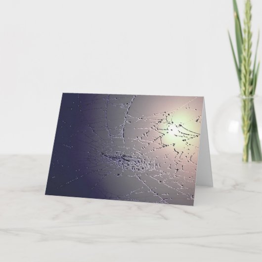 Gevangen! Kaart (Voorkant)